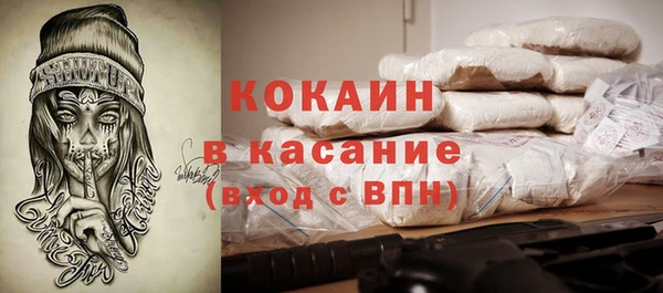 PSILOCYBIN Ельня