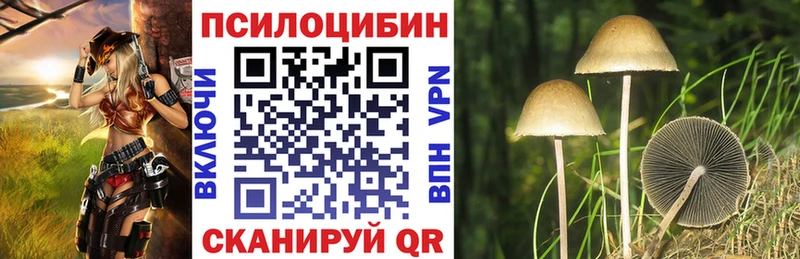 Псилоцибиновые грибы мухоморы omg ССЫЛКА Ардатов как найти